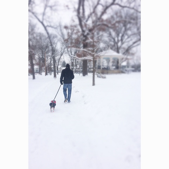 Meet your Posher, Cynthia - Picture 7 of 8